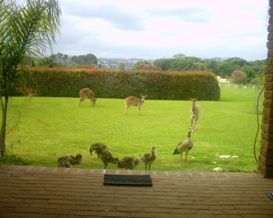 Brenton Lake Holiday Cottages Buitenkant foto