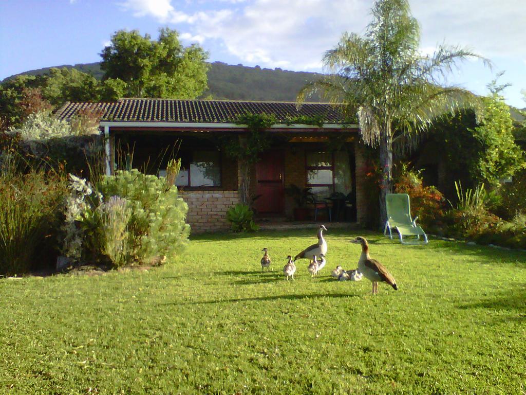 Brenton Lake Holiday Cottages Buitenkant foto